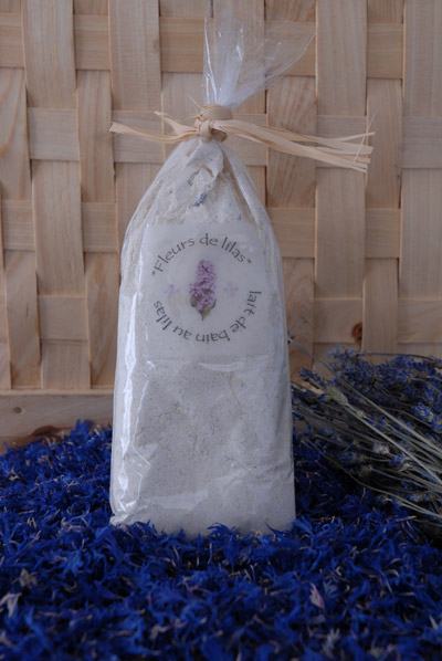 Les fleurs de lilas (lilas)